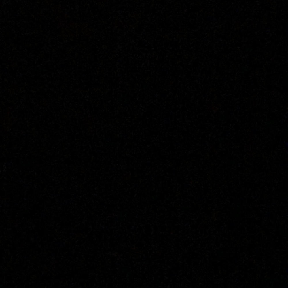 Meet your Posher, Joey